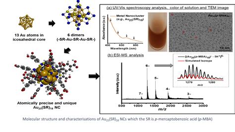  diamond nanoparticles 高效催化與生物醫學應用