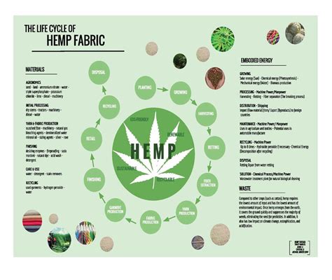  Hemp Fibre 產業應用及生態優勢探討！