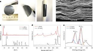 Molybdenum Disulfide！應用於高性能電子元件和高效催化劑！